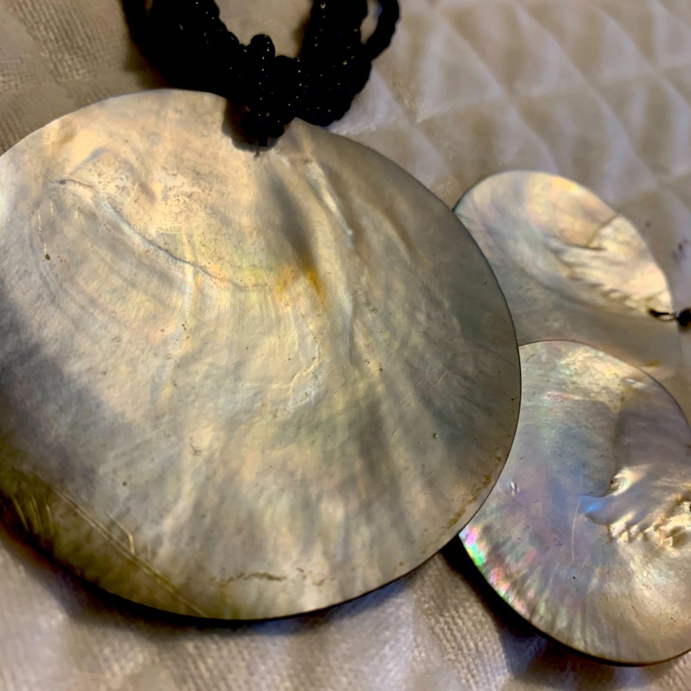 Beautiful abalone shell earring & necklace set.